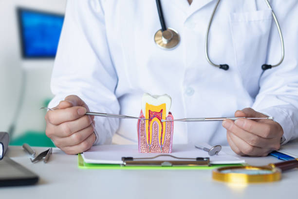Best Emergency Gum Treatment in Tashua, CT